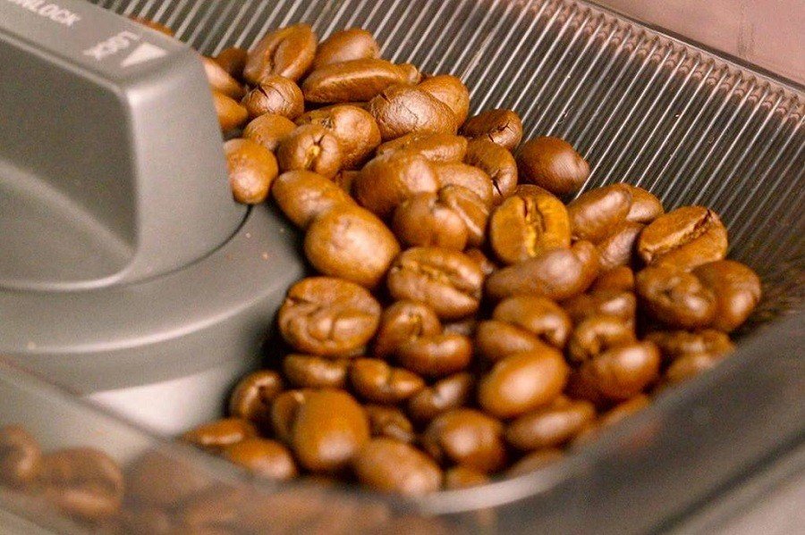 Coffee Beans in a Coffee Maker with Coffee Grinder