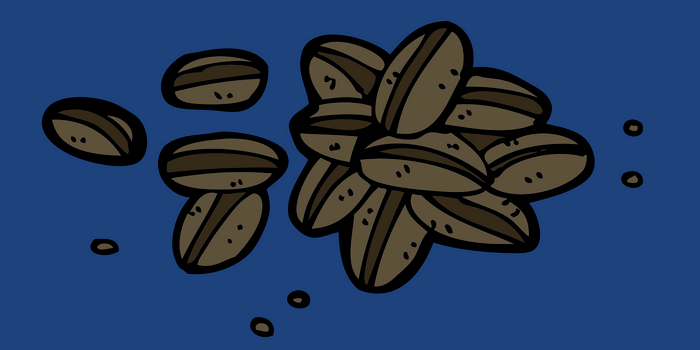 French Roasted Coffee Beans On Blue Background