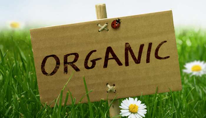 Organic Sign In A Field With Daisies 