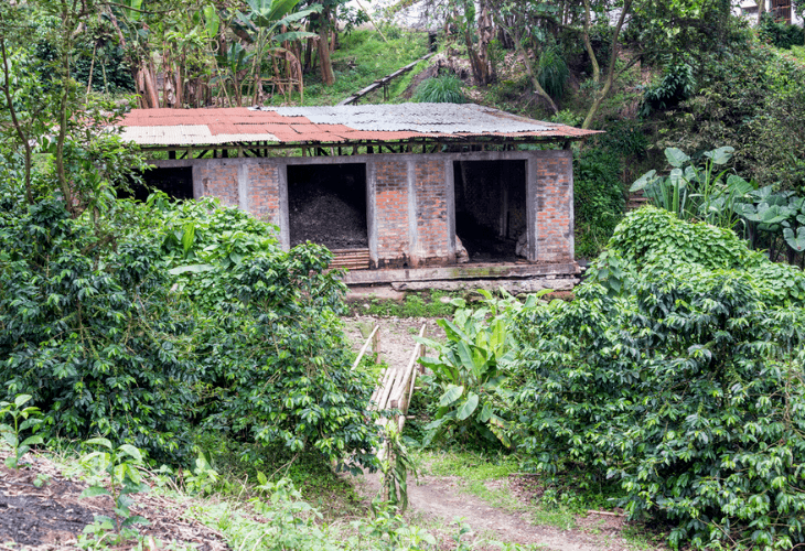 Brick building on coffee farm or plantation