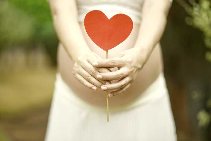 Pregnant woman holding a healthy heart