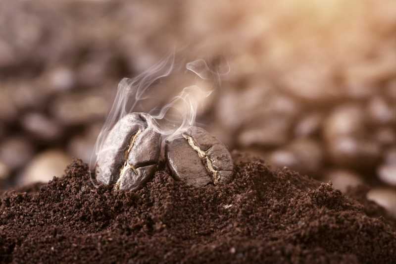 Coffee grounds as a renewable energy source