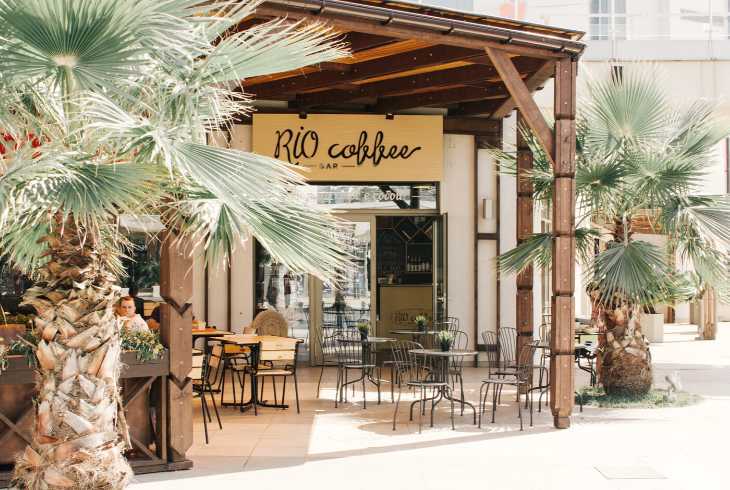 Unique coffee shop bar with palm trees